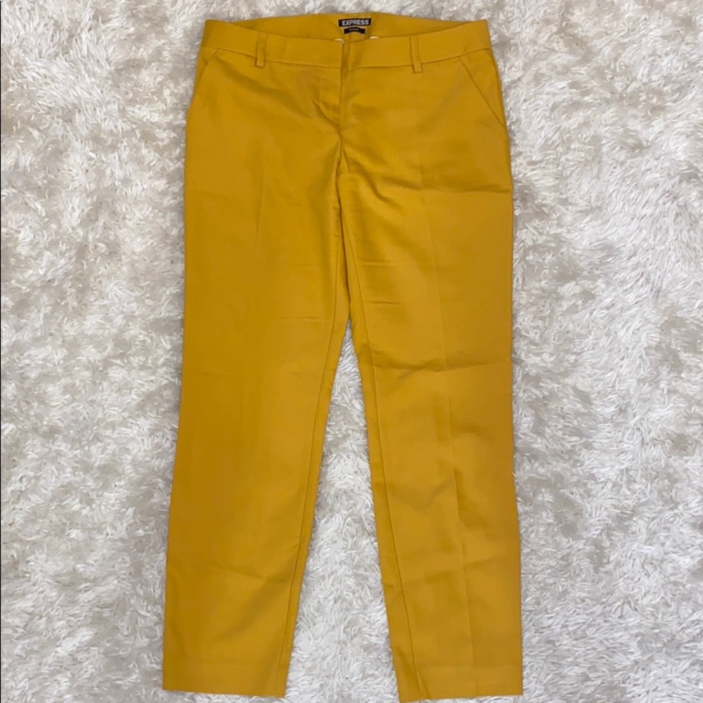Express columnist dress pants